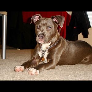 Meet your Posher, Caryn